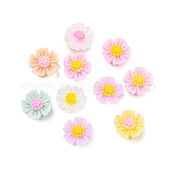 Undurchsichtige Decoden-Cabochons aus Harz CRES-I035-01