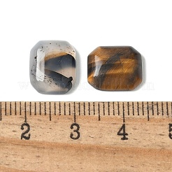Natürlicher Bildjaspis/Tigerauge/roter Jaspis/Achat-Cabochons G-Z075-02