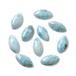 Natürliche Larimar-Cabochons G-E616-05