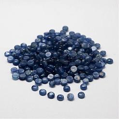 Kuppel natürliche Cyanit / Cyanit / Disthen-Cabochons G-O146-01C