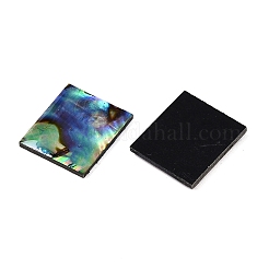 Natürliche Paua-Muschel-Rechteck-Cabochons SSHEL-T017-11