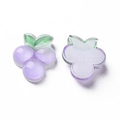 Herbstthema transparente Epoxidharz-Cabochons CRES-S365-09