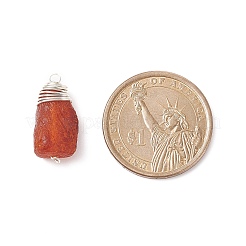 Подвески из натурального янтаря PALLOY-JF01827-01