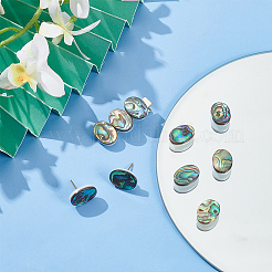 10 Stück natürliche Paua-Muschel-Cabochons FIND-BC0005-54