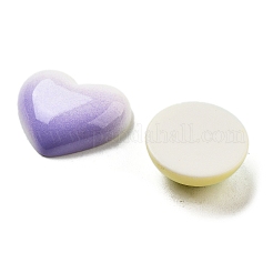 Farbverlauf-Farbe opake Harz Decoden Cabochons RESI-S04-02