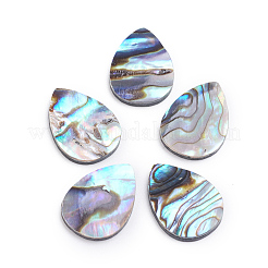 Natürliche Abalone Muschel / Paua Muschel Cabochons SSHEL-L017-002