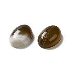 Natürliche gebänderte Achat Cabochons G-G975-01B-01