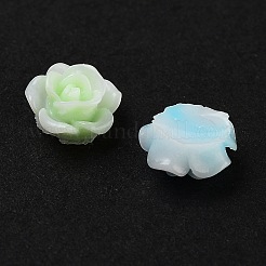 Leuchtende Decoden-Cabochons aus Harz RESI-K036-40