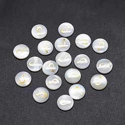 Shell Cabochons SSHEL-E568-A05