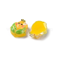 Cartoon-Cabochons aus transparentem Harz CRES-R459-01F
