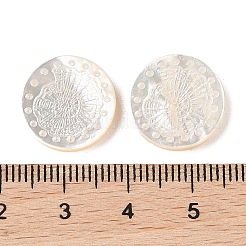 Natürliche weiße Muschel-Cabochons geschnitzt SSHEL-C012-22A