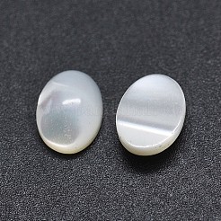 Shell Cabochons SSHEL-E567-25D