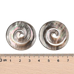 Natürliche schwarze Lippe Shell Cabochons SSHEL-I026-18