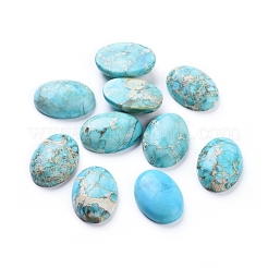 Natürlicher Regalit / kaiserlicher Jaspis / Seesediment-Jaspis-Cabochons G-G814-05