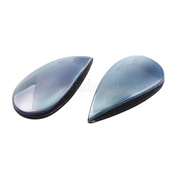 Natürliche Turbo Cornulus/Top Shell Cabochons SSHEL-N003-156A