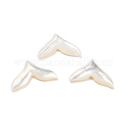 Natürliche Muschel-Cabochons SHEL-D079-26