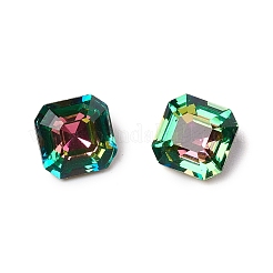 K9 Glas Strass Cabochons RGLA-I002-C02-A