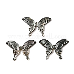 Natürliche schwarze Lippe Shell Cabochons SSHEL-I026-28