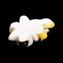 Undurchsichtige Tier-Cabochons aus Harz CRES-M024-01C