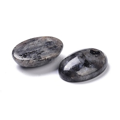 Natürliche schwarze Larvikit-Cabochons G-Z020-10