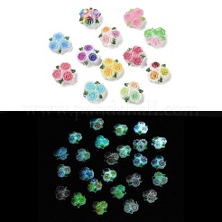 Leuchtende Decoden-Cabochons aus Harz RESI-K036-20