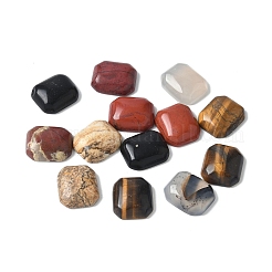 Natürlicher Bildjaspis/Tigerauge/roter Jaspis/Achat-Cabochons G-Z075-02