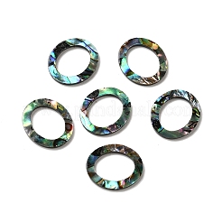 Natürliche Abalone Muschel / Paua Muschel Cabochons SHEL-K006-13B