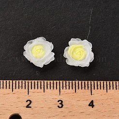 Leuchtende Decoden-Cabochons aus Harz RESI-K036-06E