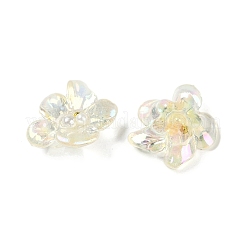 AB-farbiges transparentes Epoxidharz und ABS-Perlen-Decoden-Cabochons CRES-S367-18B