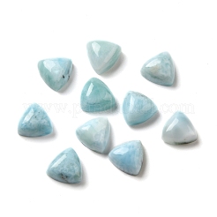 Natürliche Larimar-Cabochons G-E616-01