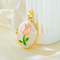 Латунь эмаль Locket подвески&nbsp;KK-F912-05C-G