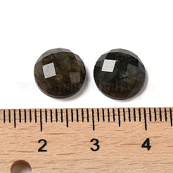 Natur Labradorit Cabochons G-L514-010