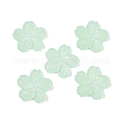 Durchscheinende Decoden-Cabochons aus Epoxidharz CRES-S367-05