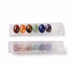 Chakra natürliche Selenit-Display-Dekorationen G-G973-10