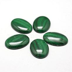 Oval natürliche Malachit cabochons G-O147-03I