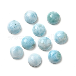 Natürliche Larimar-Cabochons G-E616-02
