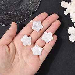 4 шт. подвески из натурального белого перламутра&nbsp;SSHEL-YW0001-10