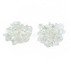 Transparentem Acryl Cabochons TACR-N006-16-A04