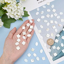 100 Stück 2 Stil natürliche Süßwassermuschel Cabochons SHEL-GF0001-01