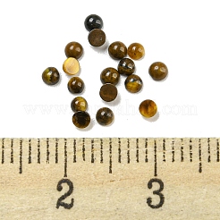 Natürlichen Tigerauge Cabochon G-H309-02-07