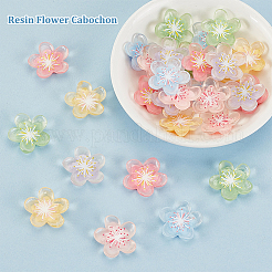 60 Stück 6 Farben durchscheinende Decoden-Cabochons aus Harz RESI-GA0001-31