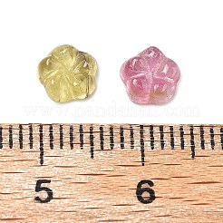 Natürliche Turmalin-Cabochons G-Q030-01A