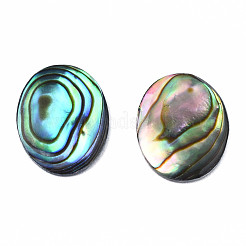 Natürliche Abalone Muschel / Paua Muschel Cabochons SSHEL-N034-118