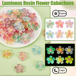 60 Stück 6 Farben leuchtende Harz-Cabochons RESI-GA0001-30-1