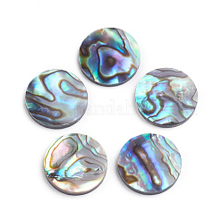 Natürliche Abalone Muschel / Paua Muschel Cabochons SSHEL-L017-001