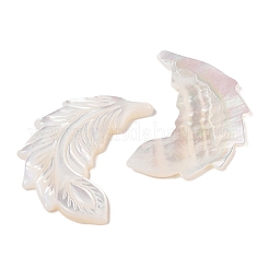 Natürliche weiße Muschel-Cabochons geschnitzt SSHEL-C012-03