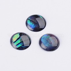 Abalone-Muschel / Paua-Muschel-Cabochons SSHEL-K003-8MM