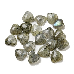 Natur Labradorit Cabochons G-H309-01-07