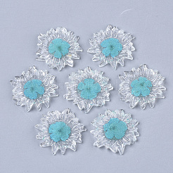Transparente klare Epoxidharz-Cabochons CRES-N025-02D