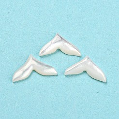 Natürliche Muschel-Cabochons SHEL-D079-26